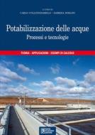 Ebook Potabilizzazione delle acque - Processi e tecnologie di Carlo Collivignarelli, Sabrina Sorlini edito da Dario Flaccovio Editore