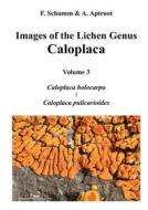 Ebook Images of the Lichen Genus Caloplaca, Vol 3 di Felix Schumm, André Aptroot edito da Books on Demand