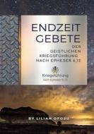 Ebook Endzeitgebete der geistlichen Kriegsführung nach Epheser 6,12 di Lilian Ofosu edito da Books on Demand