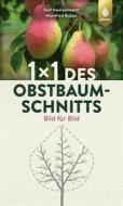 Ebook 1 x 1 des Obstbaumschnitts di Rolf Heinzelmann, Manfred Nuber edito da Verlag Eugen Ulmer