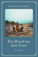Ebook Ein Brand aus dem Feuer