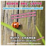 Ebook Gioco del lotto: Vincere con i numeri uguali di Butt Change edito da Mat Marlin