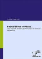 Ebook El Tercer Sector en México di Christian Fastenrath edito da Diplomica Verlag