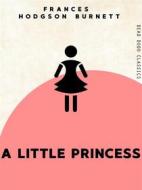 Ebook A Little Princess di Frances Hodgson Burnett edito da Dead Dodo Publishing Limited