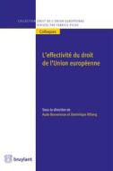 Ebook L&apos;effectivité du droit de l&apos;Union européenne di Aude Bouveresse edito da Bruylant