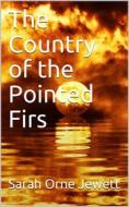 Ebook The Country of the Pointed Firs di Sarah Orne Jewett edito da iOnlineShopping.com