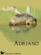 Ebook Adriano di Passerino Editore edito da Passerino Editore