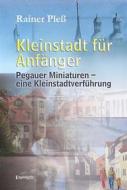 Ebook Kleinstadt für Anfänger di Rainer Pleß edito da Engelsdorfer Verlag