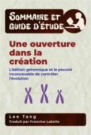 Ebook Sommaire Et Guide D’Étude – Une Ouverture Dans La Création di Lee Tang edito da LMT Press