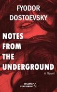Ebook Notes from the underground di Fyodor Dostoevsky edito da Synapse Publishing