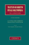 Ebook La tutela dell&apos;ambiente. Profili penali e sanzionatori di Paolo D&apos;Agostino, RICCARDO SALOMONE (a cura di) edito da Cedam