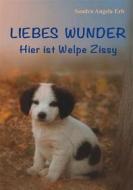 Ebook Liebes Wunder di Sandra A. Erb edito da Books on Demand