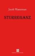 Ebook Sturreganz di Wassermann Jakob edito da Fiorenzo Albani Editore