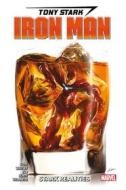 Ebook Tony Stark Iron Man (2018) 2 di Dan Slott, Jeremy Whitley, Jim Zub, Valerio Schiti, Paolo Villanelli edito da Panini Marvel Italia