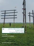 Ebook Città tra sviluppo e declino di Antonio G. Calafati edito da Donzelli Editore
