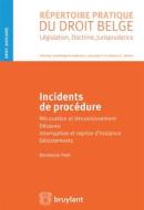 Ebook Incidents de procédure di Bénédicte Petit edito da Bruylant
