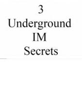 Ebook 3 Underground IM Secrets di Ouvrage Collectif edito da Ouvrage Collectif