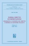 Ebook Norma diritto interpretazione di Ciro Palumbo edito da Giappichelli Editore