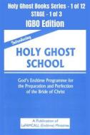 Ebook Introducing Holy Ghost School - God&apos;s Endtime Programme for the Preparation and Perfection of the Bride of Christ - IGBO EDITION di LaFAMCALL, Lambert Okafor edito da Midas Touch GEMS