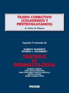 Ebook Capítulo 9 extraído de Tratado de Dermatología - TEJIDO CONECTIVO (COLÁGENOS Y PROTEOGLUCANOS) di A.Giannetti, G. Cetta, R. Piazza edito da Piccin Nuova Libraria Spa