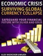 Ebook Economic Crisis: Surviving Global Currency Collapse - Safeguard Your Financial Future with Silver and Gold di Alex Nkenchor Uwajeh edito da Alex Nkenchor Uwajeh