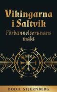 Ebook Vikingarna i Saltvik di Bodil Stjernberg edito da Books on Demand