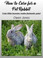 Ebook How To Care For A Pet Rabbit di Owen Jones edito da Tektime