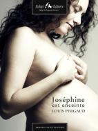 Ebook Joséphine est enceinte di Pergaud Louis edito da Faligi Editore
