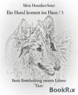 Ebook Ein Hund kommt ins Haus / 5 di Silvia Hunziker-Suter edito da BookRix