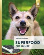 Ebook Superfood für Hunde di Valentina Kurscheid edito da Verlag Eugen Ulmer