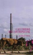 Ebook L&apos;accendino dell&apos;Antropocene di Alfonso Pinto edito da Armillaria Edizioni