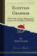Ebook Egyptian Grammar di Adolf Erman edito da Forgotten Books