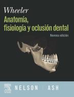 Ebook WHEELER. Anatomía, Fisiología y Oclusión Dental + DVD y evolve di S.J. Nelson, M.M. Jr. Ash edito da Elsevier