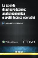 Ebook Le aziende di autoproduzione: analisi economica e profili tecnico-operativi di Antonietta Cosentino edito da Cedam