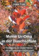 Ebook Meine Ur-Oma in der Buschschule di Hans Fink edito da Books on Demand