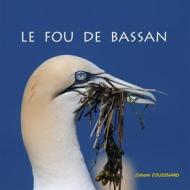 Ebook Le fou de Bassan di Johann Cousinard edito da Books on Demand