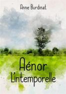Ebook Aénor l&apos;intemporelle di Anne Burdinat edito da Publishroom