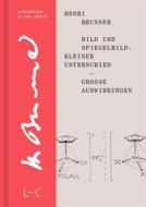 Ebook Bild und Spiegelbild: Kleiner Unterschied – große Auswirkungen di Henri Brunner edito da GNT-Verlag GmbH