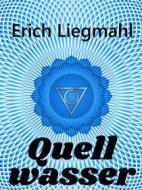 Ebook Quellwasser di Erich Liegmahl edito da Books on Demand