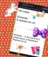 Ebook Domanda E risposta non c&apos;è di Labita Vito edito da Vito Labita