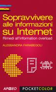 Ebook Sopravvivere alle informazioni su Internet di Alessandra Farabegoli edito da Feltrinelli Editore
