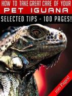 Ebook How To Take Great Care Of Your Pet Iguana di Jeannine Hill edito da Jeannine