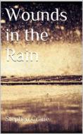 Ebook Wounds in the Rain di Stephen Crane edito da Books on Demand