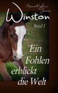 Ebook Winston - Ein Fohlen erblickt die Welt di Antonia Katharina Tessnow edito da Books on Demand