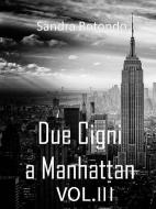 Ebook Due Cigni a Manhattan Vol III di Sandra Rotondo edito da Sandra Rotondo