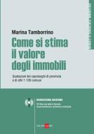 Ebook come si stima il valore degli immobili di Marina Tamborrino edito da IlSole24Ore Professional