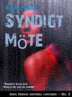 Ebook Syndigt Möte di Adam Zander edito da Books on Demand