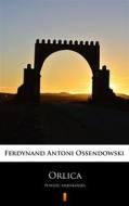 Ebook Orlica di Ferdynand Antoni Ossendowski edito da Ktoczyta.pl
