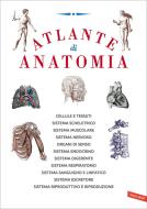 Ebook Atlante di anatomia di AA.VV. edito da VALLARDI