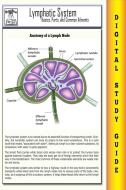 Ebook Lymphatic System ( Blokehead Easy Study Guide) di The Blokehead edito da The Blokehead